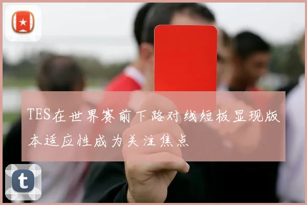 TES在世界赛前下路对线短板显现版本适应性成为关注焦点